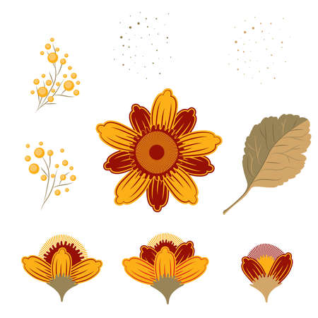 Set of elements Vintage Botanical Illustration. Flower on a stalk with leaves and buds. Retro color palette.のイラスト素材