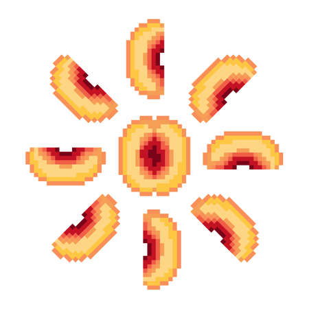 Nectarine. Stone fruits slice isolated on whiteのイラスト素材