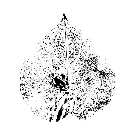 Set of leaf prints. Autumn herbarium stamps leavesのイラスト素材