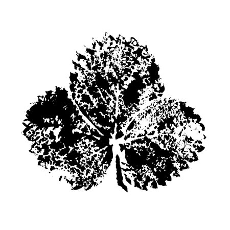 Set of leaf prints. Autumn herbarium stamps leavesのイラスト素材