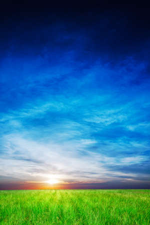 Sunset over the field of greenの写真素材