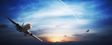 Jet plane in flight. Panoramic image.