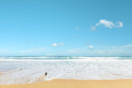 Perfect tropical beach in sunny dayの写真素材