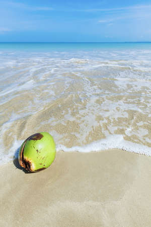 Coconut in a wave line