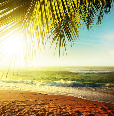 Sunset over the tropical beach. HDR processed.の写真素材