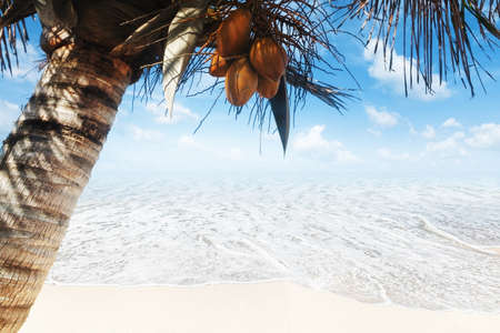 White sand beachの写真素材