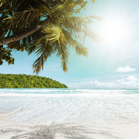 Tropical beach in sunny day. Square composition.の写真素材