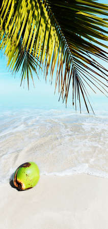 Tropical beach. Vertical panoramic composition.の写真素材
