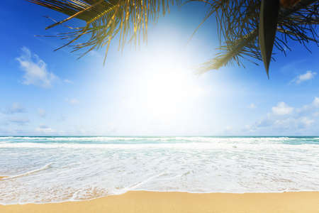 Perfect tropical beachの写真素材