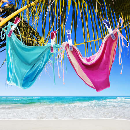 Tropical vacation. Square composition.の写真素材