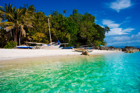 Tropical Heaven