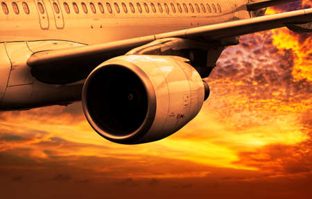 Evening flightの写真素材