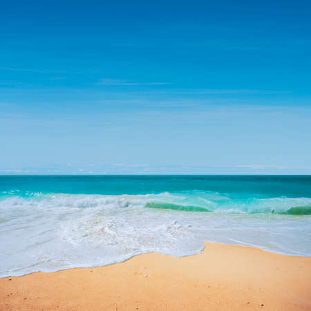 Tropical Heaven