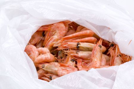 plastic bag with the catch of the dayの写真素材