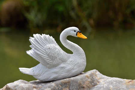 Ceramic swan on a rock by the waterの写真素材