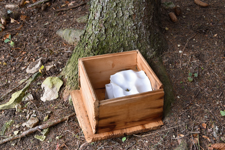 Feeder for forest animals. Inside feeders rock salt. Feeder.の写真素材