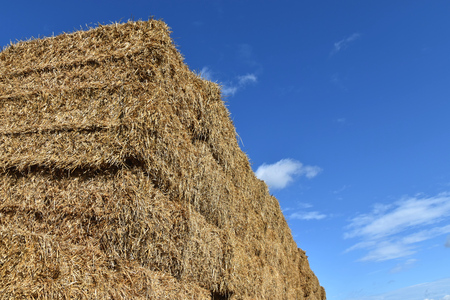 Stack of straw, square bundles straightened on each other. Blue sky.