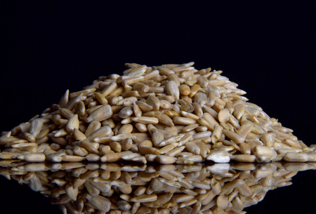 Sunflower peeled seeds on a black glass background. Seed.の写真素材