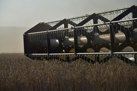 Grain harvester bar. Time of harvest. Flying dust from combine harvesters
