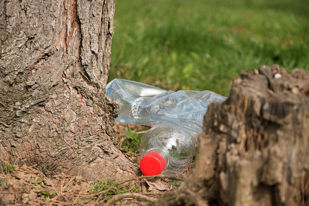 Pollution of plastics on the ground. Plastic waste lies on the ground. Environmental Protection. Plastic bottles and other trash on the groundの写真素材