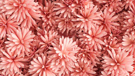 Beautiful background with flowers. 3d rendering, 3d illustration.の写真素材