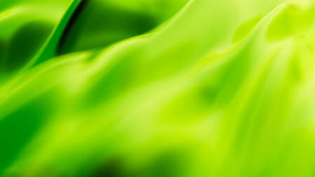Luxury green drapery fabric background. 33d rendering 3d illustration.の写真素材