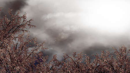 Dark autumnal background.3d rendering, 3d illustration.