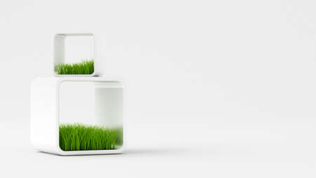Grass abstract background. 3d rendering, 3d illustration.の写真素材