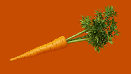 Background with a carrot. 3d rendering, 3d illustration.の写真素材