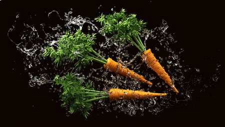 Background with a carrot. 3d rendering, 3d illustration.の写真素材