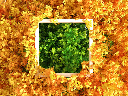 Autumn background banner frame. 3d rendering, 3d illustration.の写真素材