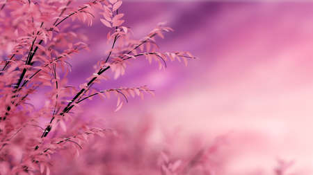 Beautiful autumn background. 3d rendering, 3d illustration.の写真素材