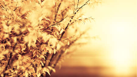 Beautiful autumn background. 3d rendering, 3d illustration.の写真素材