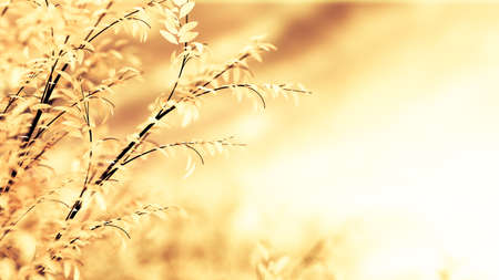 Beautiful autumn background. 3d rendering, 3d illustration.
