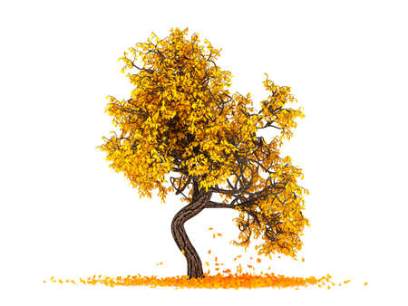 Autumnal element, orange isolated tree on a white background. 3d rendering, 3d illustration.の写真素材
