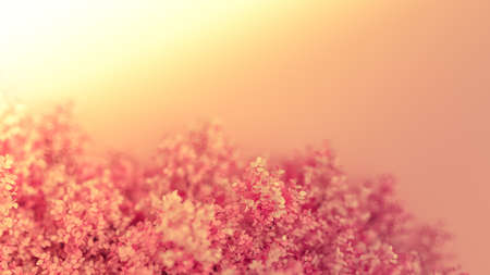 Beautiful pink background with leaves, season of the year. 3d rendering, 3d illustration.