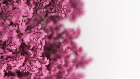 Beautiful pink background with leaves on white, the season of the year. 3d rendering, 3d...