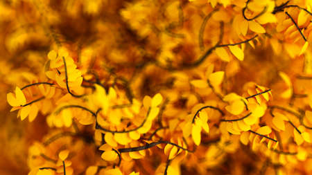 Beautiful autumn background with leaves. 3d rendering, 3d illustration.の写真素材