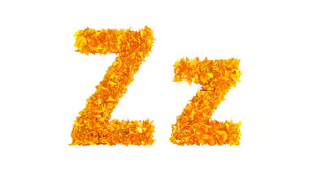 Autumn font. 3d rendering 3d illustrationの写真素材