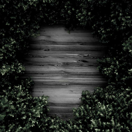 Beautiful summer background with leaves and white space. 3d rendering, 3d illustration.の写真素材