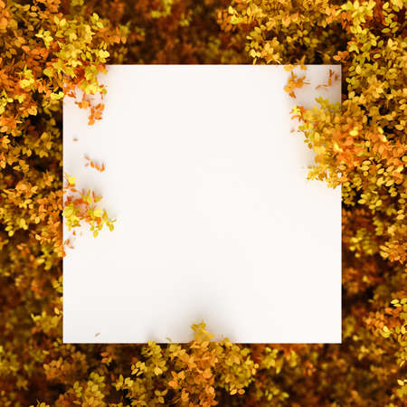Beautiful autumn background with leaves and white space. 3d rendering, 3d illustration.の写真素材
