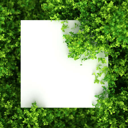 Beautiful summer background with leaves. 3d rendering, 3d illustration.の写真素材