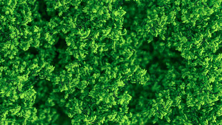 Beautiful summer background with leaves. 3d rendering, 3d illustration.の写真素材