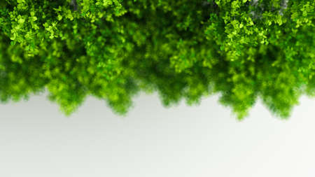Beautiful summer background with leaves. 3d rendering, 3d illustration.の写真素材