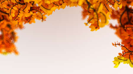 Beautiful autumn background with leaves and white space. 3d rendering, 3d illustration.