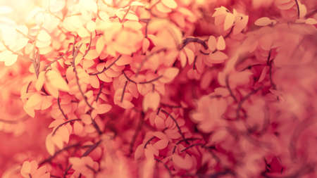 Beautiful pink background with leaves. 3d rendering, 3d illustration.
