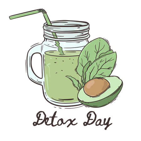 DETOX DAY Healthy Eating Program Nutrition Paleo Keto Organic Diet Nature Vector Illustration For Print Fabric and Decorationのイラスト素材