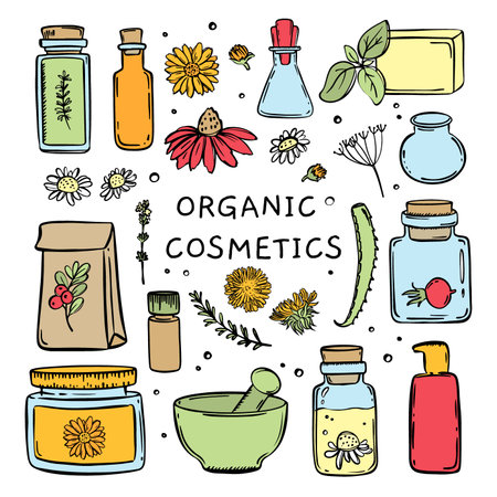 ORGANIC COSMETICS COLOR Hand Drawn Sketch Set For Design And Farmaceutics Vector Collection Of Medicinal Plants Their Elements And Packages Finished Drugsのイラスト素材