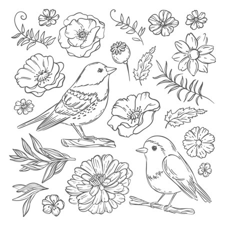 WILD BIRDS And Flowers Monochrome Finely Hand Drawn Vintage Sketch In Chinese Japanese Style Coloring Page Nature Isolated Design Elements Vector Illustrationのイラスト素材