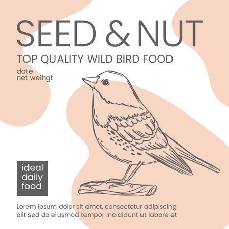 WILD BIRD FOOD Seed And Nut Modern Packaging Design Vector Illustration Sketch With Abstract Beige Color Spots Elements Printable Monochrome Hand Drawn Templateのイラスト素材